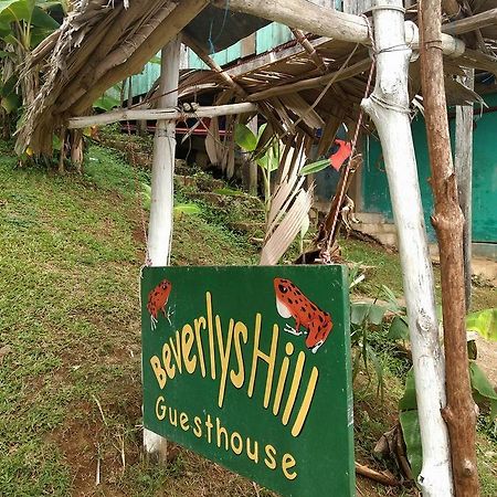 Beverly'S Hill Guest House Bocas Town Dış mekan fotoğraf