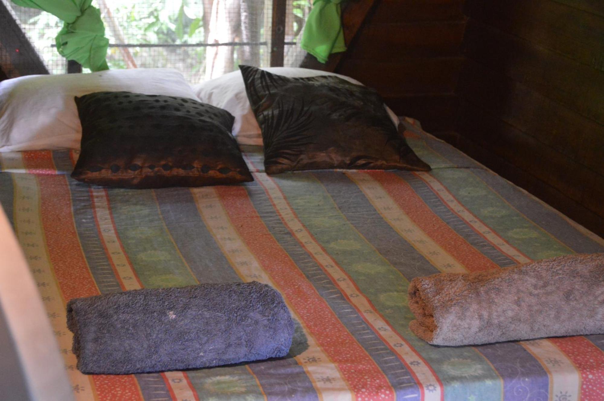 Beverly'S Hill Guest House Bocas Town Oda fotoğraf