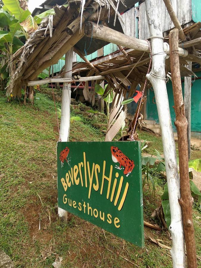 Beverly'S Hill Guest House Bocas Town Dış mekan fotoğraf