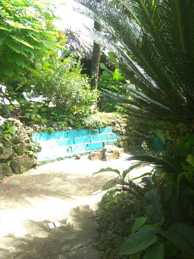 Beverly'S Hill Guest House Bocas Town Dış mekan fotoğraf