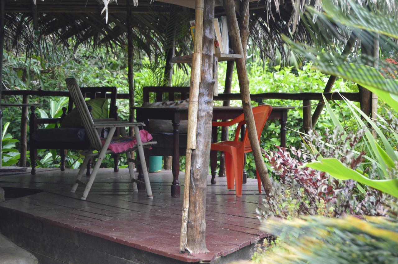 Beverly'S Hill Guest House Bocas Town Dış mekan fotoğraf